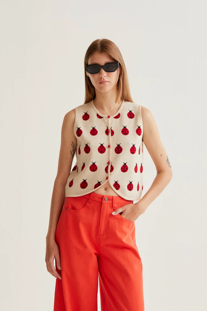Top Coccinella