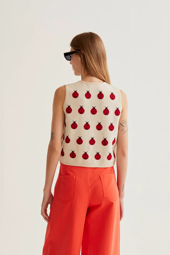 Top Coccinella