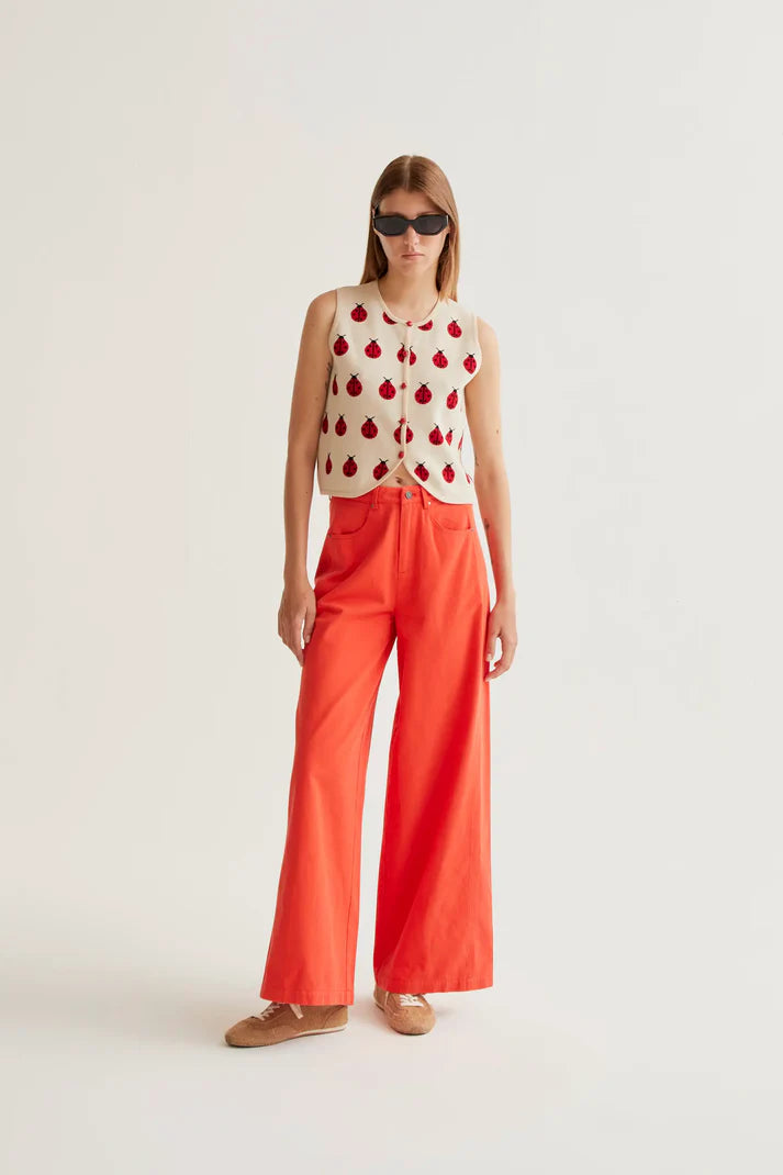 Top Coccinella
