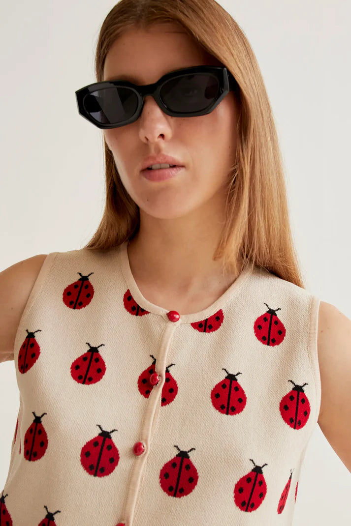Top Coccinella