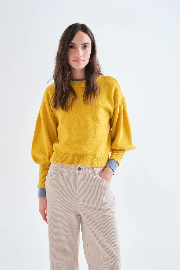 Jersey Ariadne