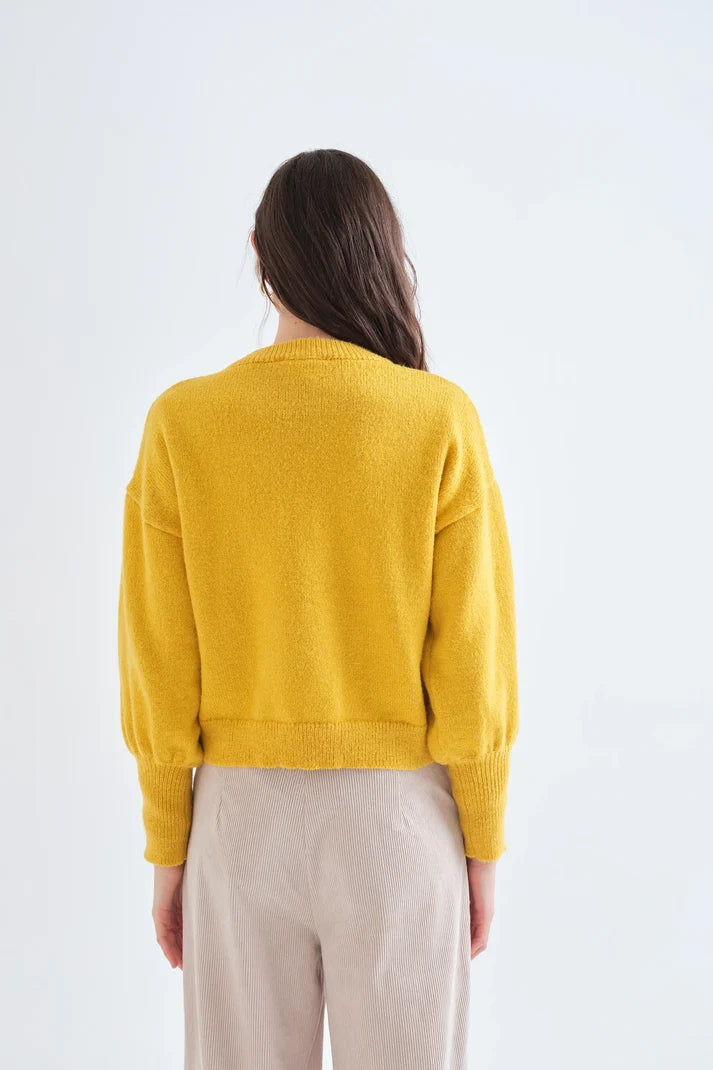 Jersey Ariadne