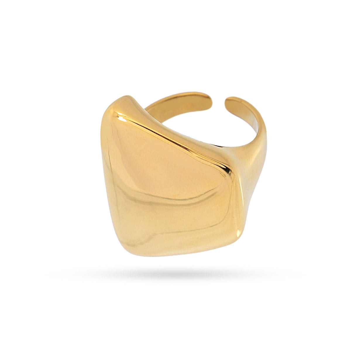 Anillo Waves